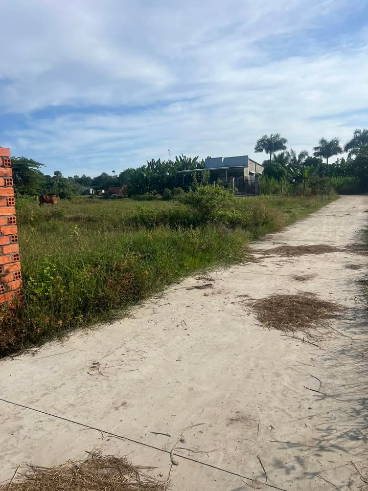 Đất nền Xuân Hiệp 240m² giá 535 triệu - Sổ đỏ chính chủ, thổ cư 100%!