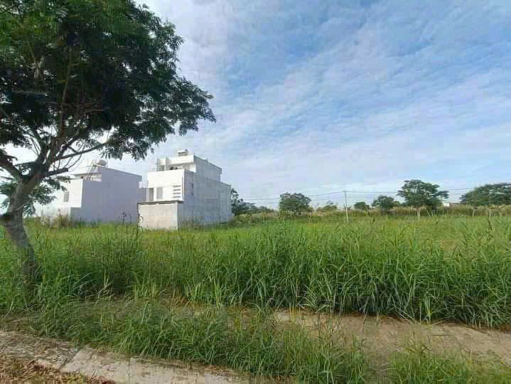 Đất nền Long Hậu Cần Giuộc 124m² giá 3.5 tỷ - Sổ hồng chính chủ, công chứng liền!