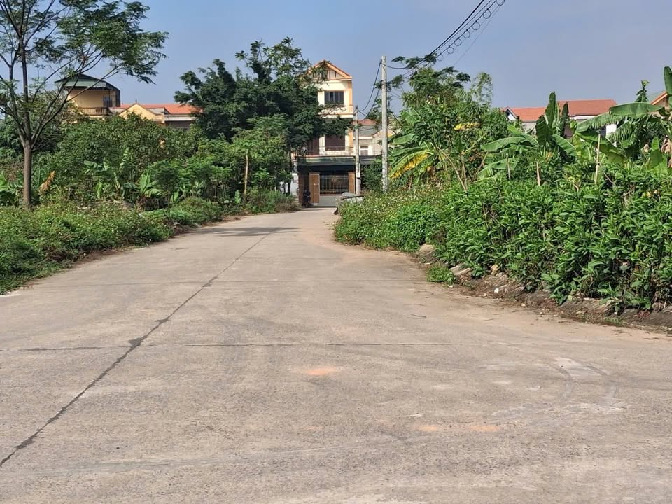 Đất Ninh Tiến Hoa Lư 95m² giá 5 tỷ - Vị trí đắc địa gần chợ đầu mối!