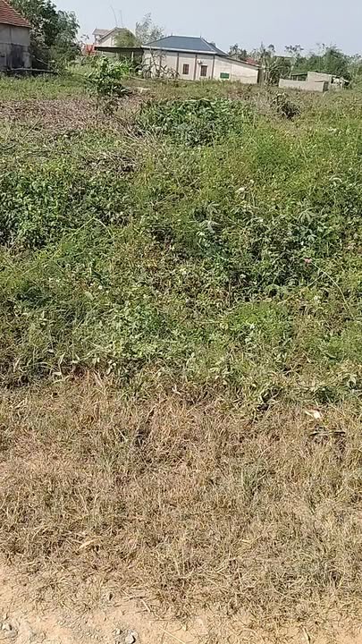 Đất nền xóm 23, Nghi Văn 1404m² giá chỉ 2 tỷ - Mặt tiền rộng 27m!