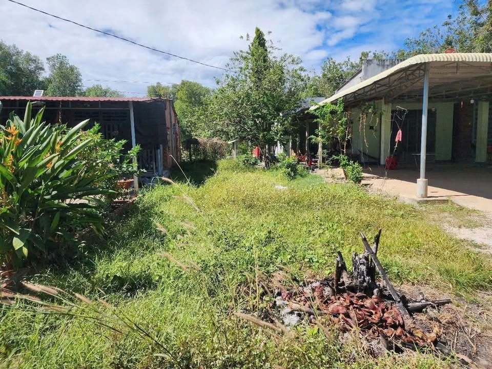 Đất thổ cư 320m² tại xã Dương Minh Châu giá 250 triệu - Đầu tư sinh lời ngay!