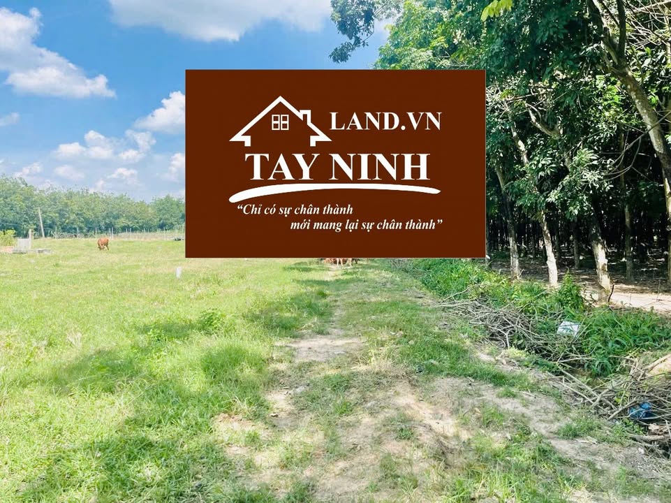 Đất 500m² tại phường Bình Minh, Tây Ninh - Giá chỉ 280 triệu, view núi Bà hấp dẫn!