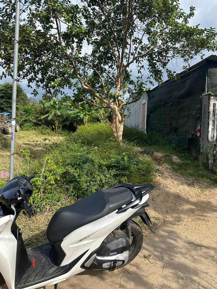 Đất thổ cư 150m² Đăk Cấm, Kon Tum - Giá chỉ 3xx triệu, chính chủ!