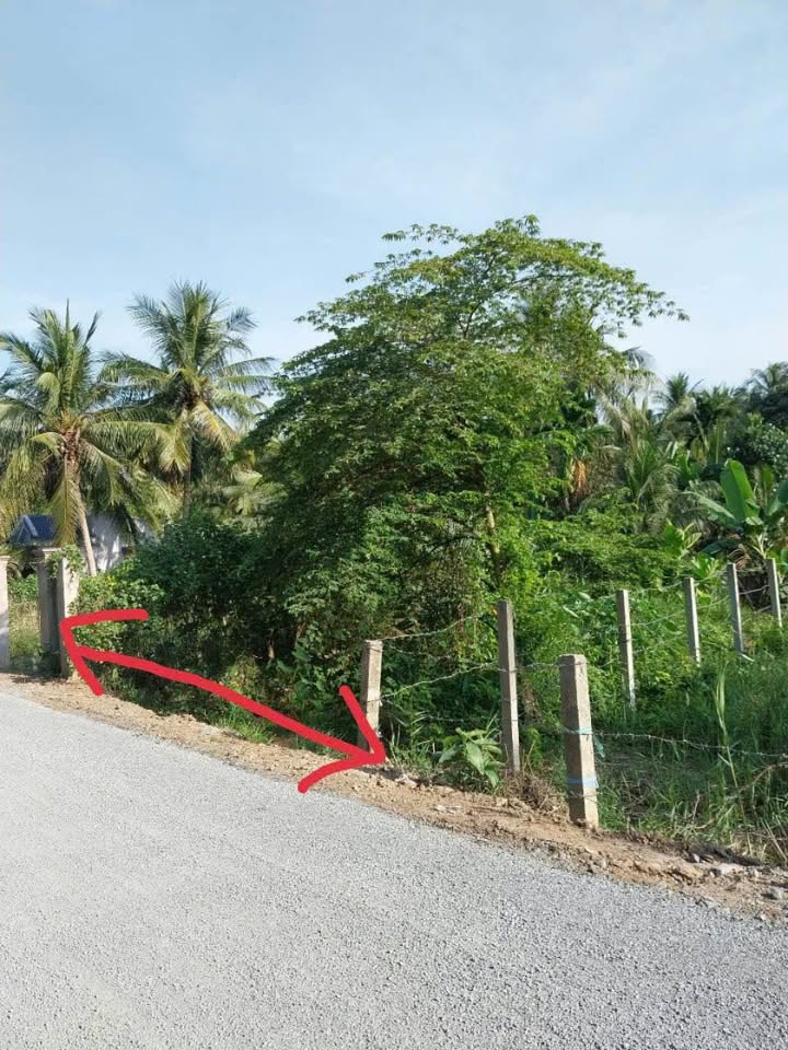 Đất nền đường Huệ Sanh, Long Đức, Trà Vinh 125m² giá 430 triệu - Cơ hội đầu tư hấp dẫn!