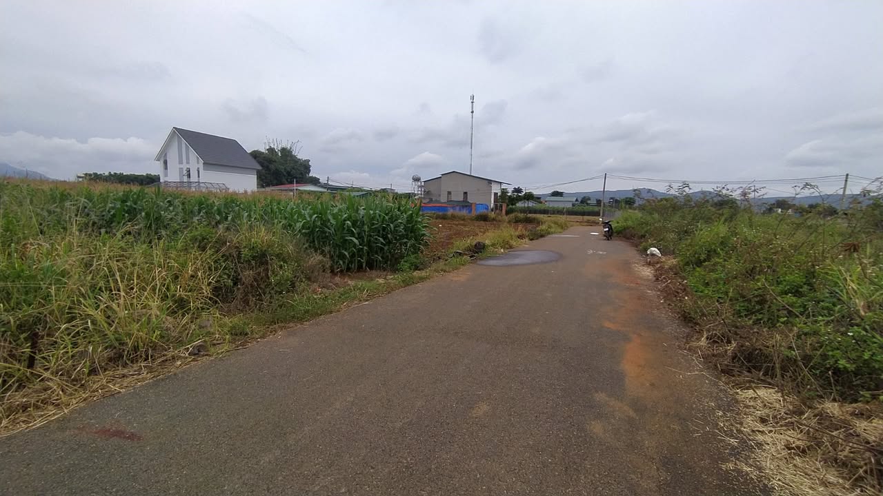 Đất nền Liên Nghĩa, Đức Trọng 125m² giá 1.27 tỷ - Vị trí đẹp, pháp lý rõ ràng!