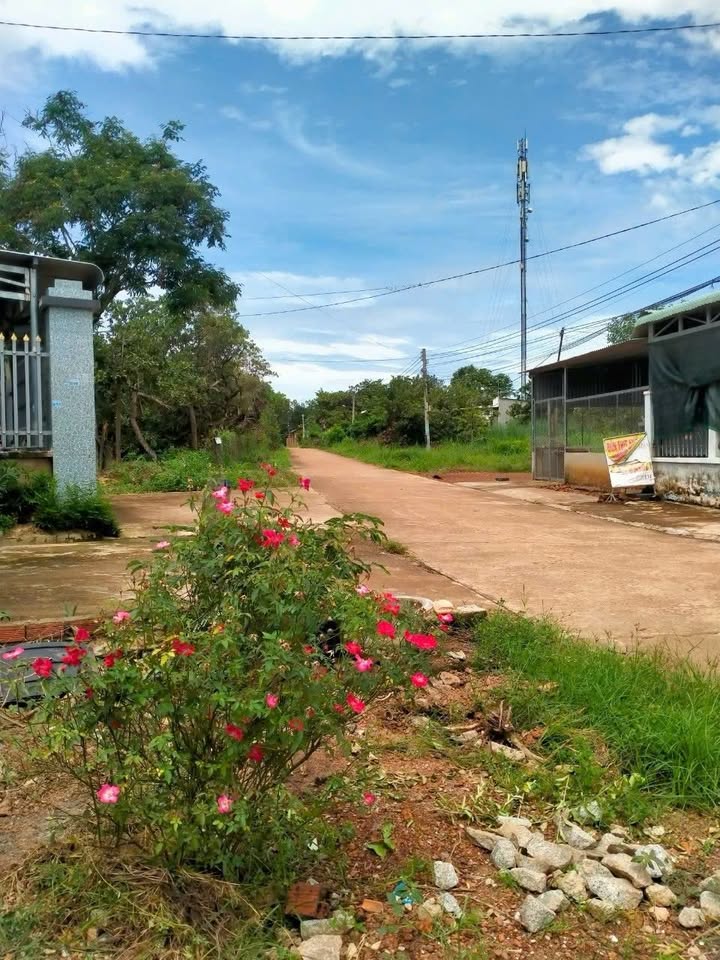 Đất Tân Xuân, Đồng Xoài 500m² giá 800 triệu - Đầu tư sinh lời dễ dàng!