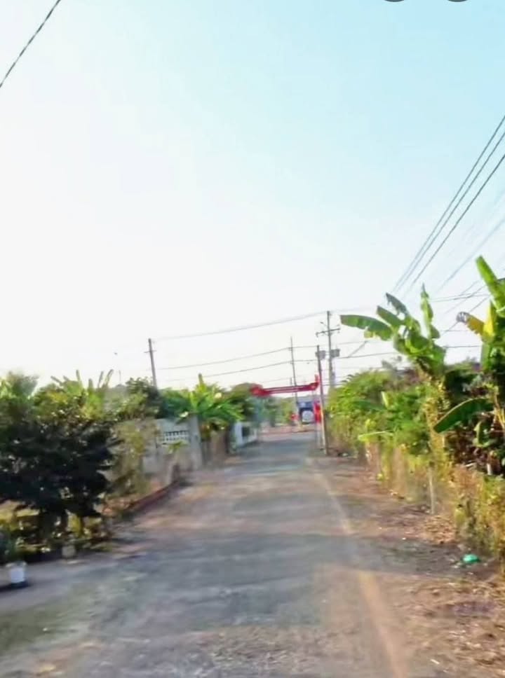 Đất nền Tân Lập, Đồng Phú 5000m² giá 1 tỷ - Vị trí tiềm năng cho đầu tư