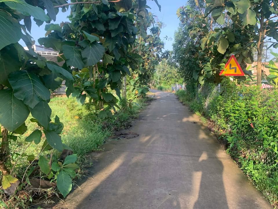 Đất nền Gia Canh - Định Quán 2 sào giá 1.3 tỷ - Đường thông tứ hướng