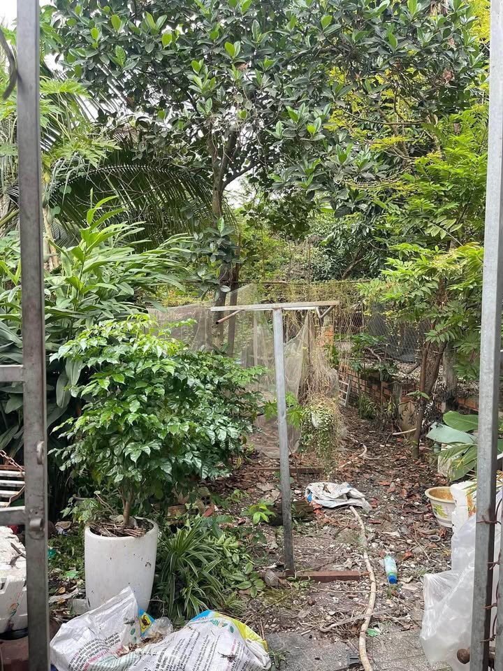 Đất nền Trảng Dài Biên Hòa 137m² giá 1.75 tỷ - Pháp lý sổ riêng chính chủ!