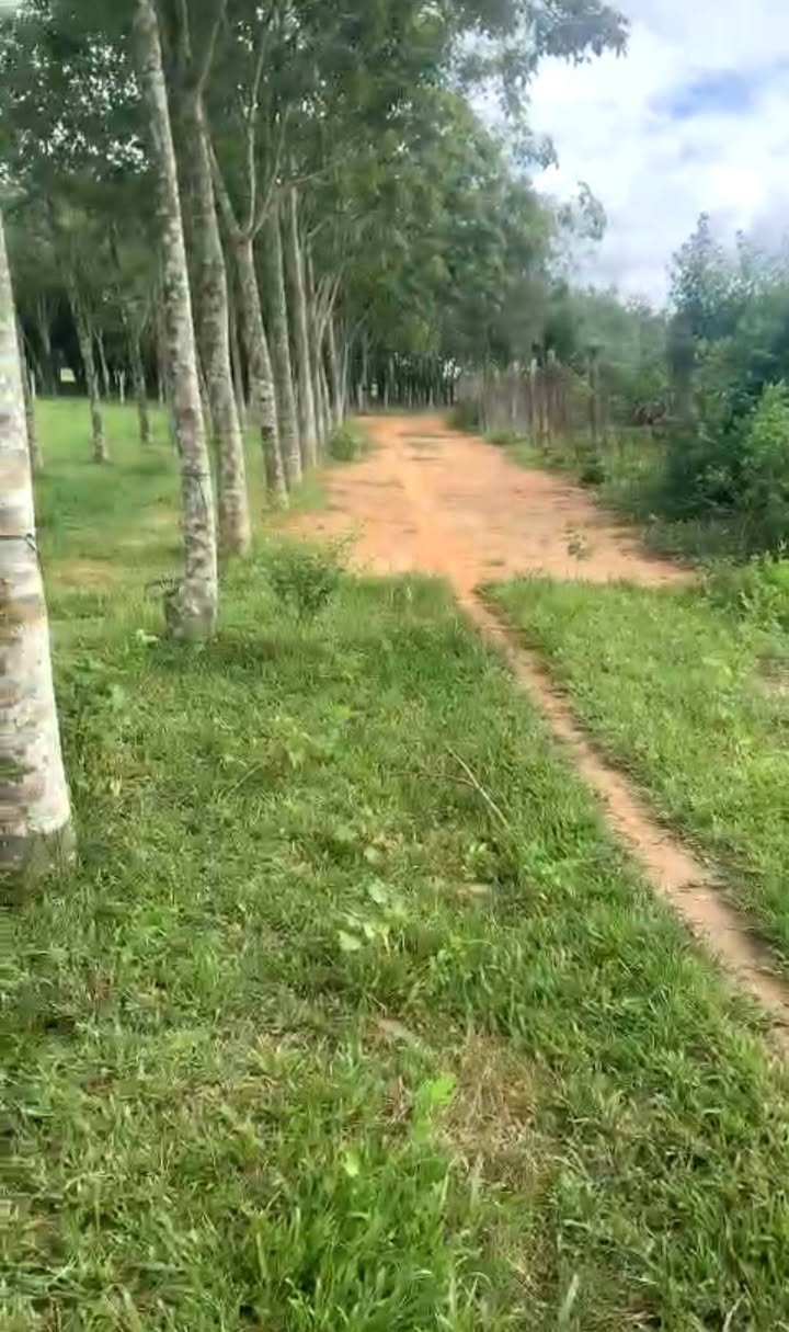 Đất thổ cư Đồng Khởi Châu Thành Tây Ninh 160m² giá chỉ 149 triệu - Không phát sinh thêm chi phí!