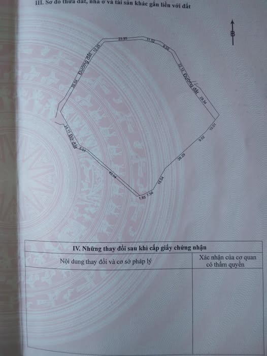 Đất trồng cây lâu năm 6000m² tại phường Hoà Khánh, Đà Nẵng - Giá thỏa thuận hấp dẫn!