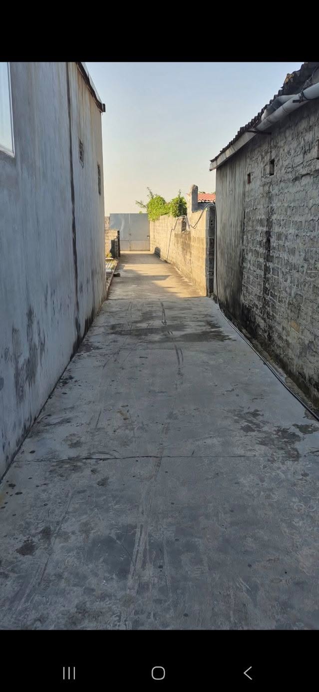 Đất nền Tràng Minh, Kiến An 40m² giá 600 triệu - Sổ đỏ chính chủ!