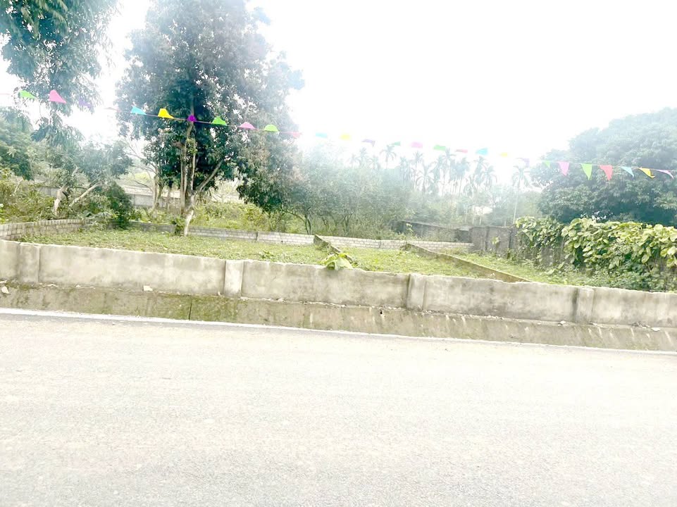 Đất thổ cư 115m² đường Đồng Chanh, Nhuận Trạch - Giá chỉ 2 tỷ, đầu tư sinh lời!