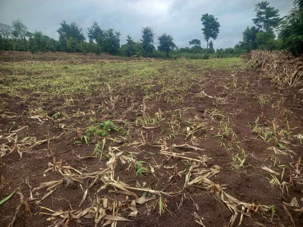 Đất sỏi đen 3,5 sào tại Ea Bar, Buôn Đôn chỉ 600 triệu - Cơ hội đầu tư hấp dẫn!