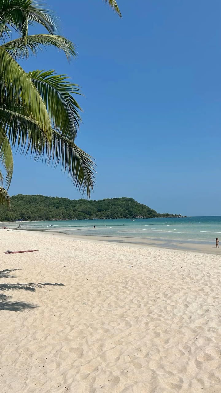 Đất mặt tiền đường Nguyễn Trực, Sơn Trà 233m² giá 25 tỷ - Đầu tư sinh lời ngay sát biển!