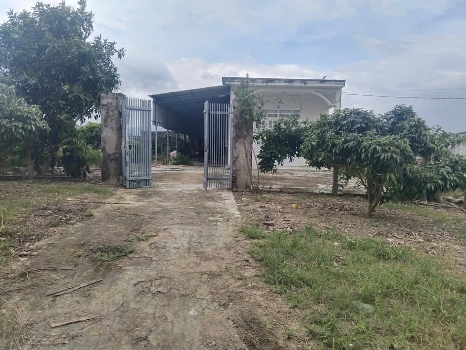 Đất thổ cư 1200m² QL29, xã Ea Sô, giá chỉ 1.7 tỷ - Đầu tư sinh lời ngay!