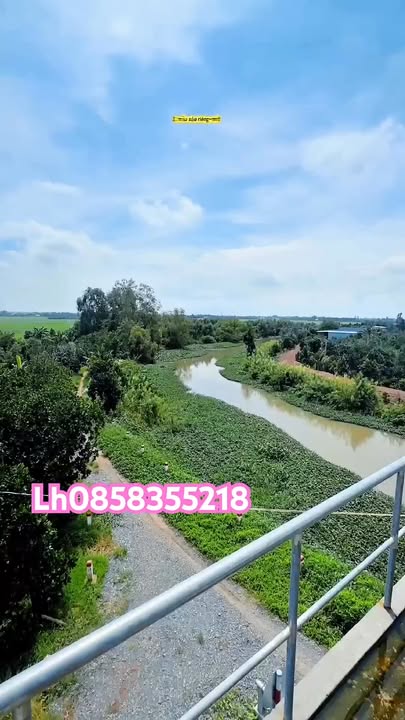 Đất Farm tại Bình Hòa, Mộc Hóa, Long An 10.000m² giá 1,5 tỷ - Đầu tư sinh lời ngay!