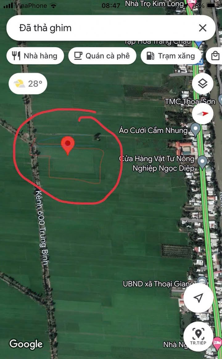 Farm cho thuê 10 công tại Thoại Giang, An Giang - Thỏa thuận giá hấp dẫn!