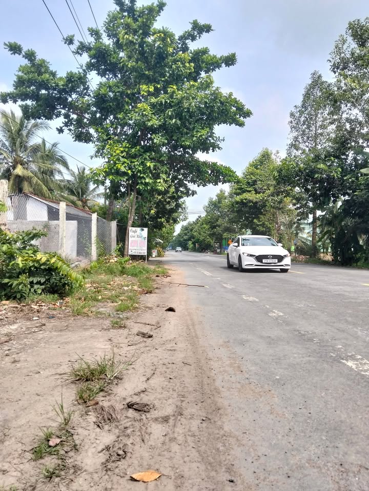 Đất nền mặt tiền đường tránh Tân Thanh, Giồng Trôm - Diện tích 300m² chỉ 1.2 tỷ!