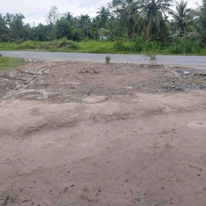 Đất mặt tiền QL 883 Châu Hoà, Giồng Trôm 1328m² - Phù hợp kinh doanh!