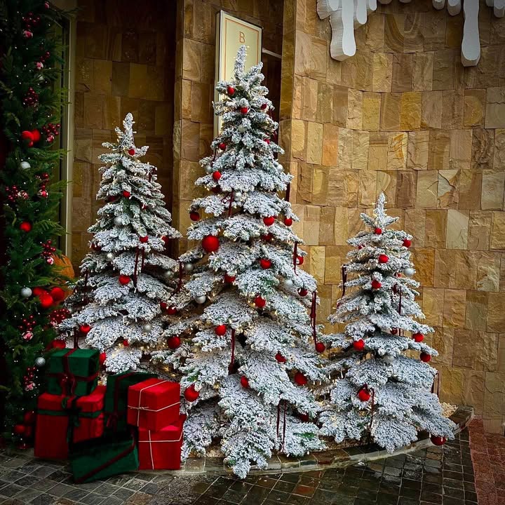 Nhà nguyên căn cho thuê tại Đà Lạt 6 triệu - Sân rộng đậu xe thoải mái!