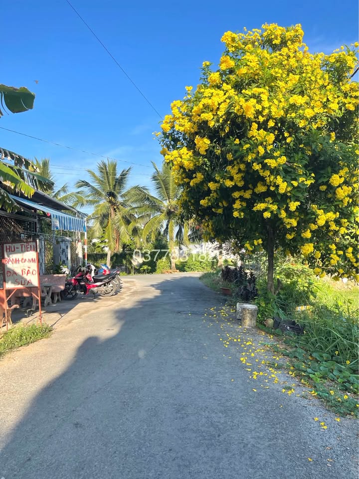 Đất mặt tiền Hồ Thị Nhâm, Trà Vinh 168m² giá 1.45 tỷ - Cơ hội đầu tư tuyệt vời!