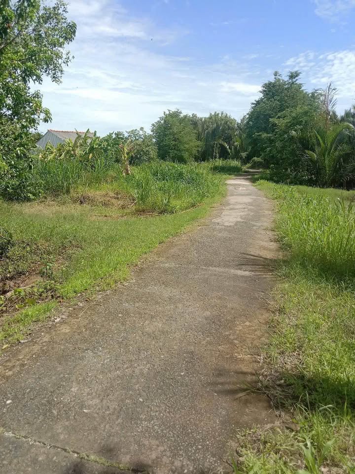 Đất nền mặt tiền đường bê tông - Hiệp Mỹ Đông, Cầu Ngang, Trà Vinh - 1.8 tỷ - Đầu tư sinh lời ngay!