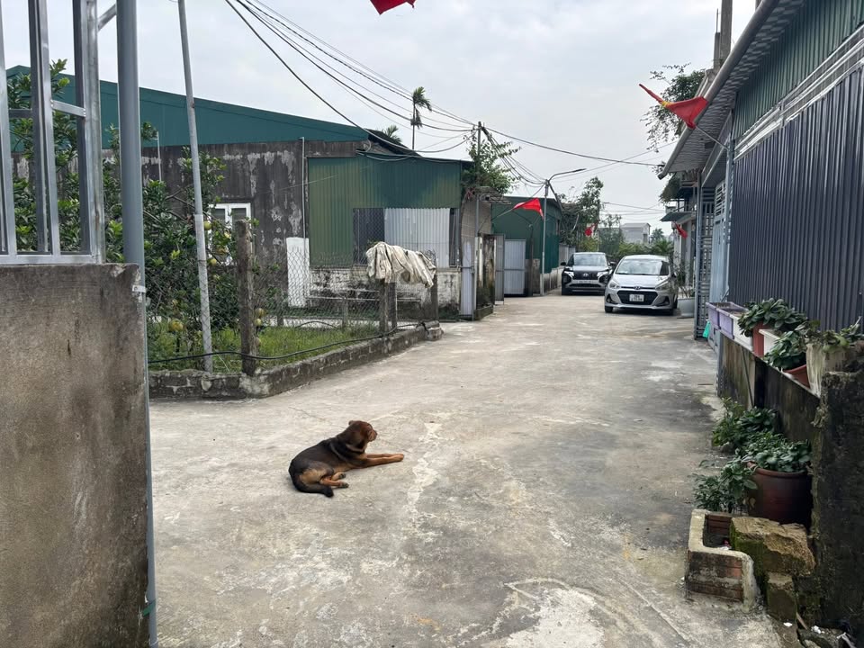 Đất thổ cư Thôn Đông Tiến - Phường Thạch Trung 112.5m² giá 1.6 tỷ - Đầu tư sinh lời ngay!