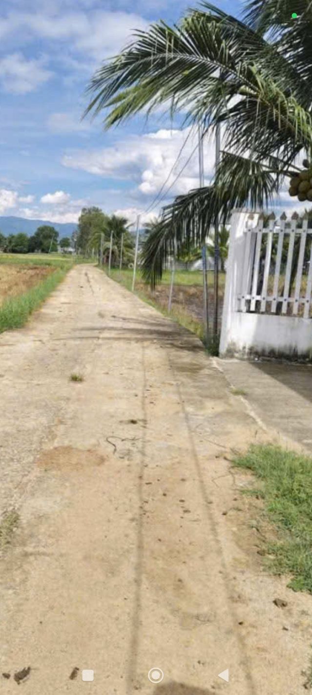 Đất nền Lương Sơn, Ninh Thuận 3600m² giá 500 triệu - Cơ hội đầu tư tuyệt vời!