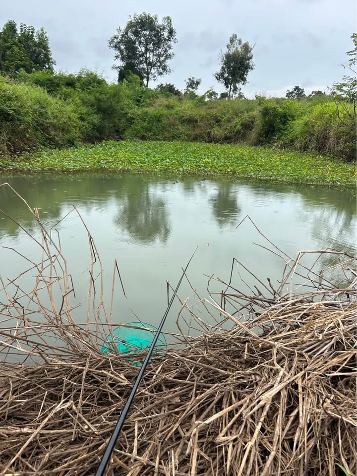 Đất nền Xuân Thọ, 8000m² giá 2.3 tỷ - Cơ hội đầu tư tuyệt vời!