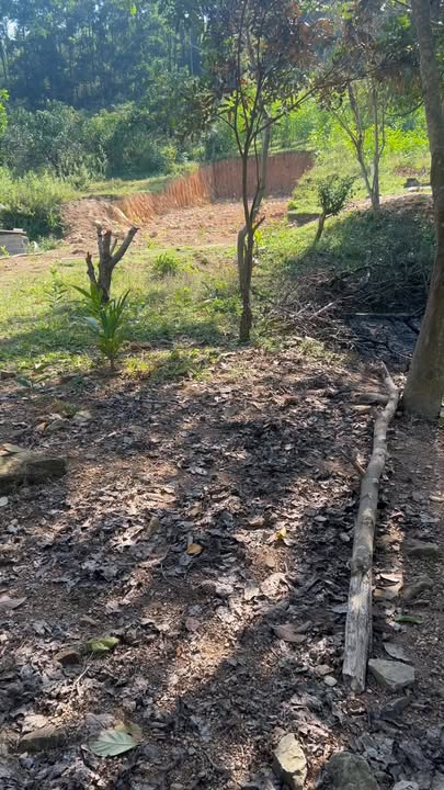 Lô đất 350m² tại ngã 3 Đồng An, xã Xuân Lương giá chỉ 350 triệu - Cơ hội đầu tư hấp dẫn!