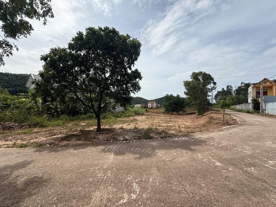 Đất nền Yên Lư, Yên Dũng 241m² giá 3 tỷ - Cơ hội đầu tư vàng!