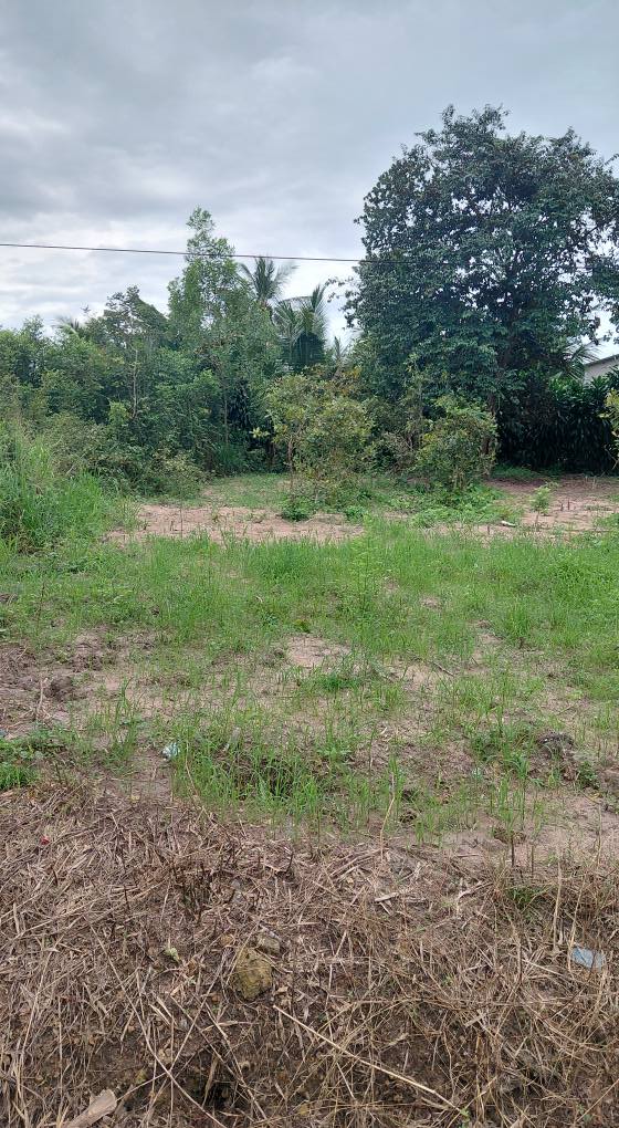 Đất thổ cư Phú Hòa Định Quán 132m² giá 480 triệu - Mặt tiền đường bê tông 6m