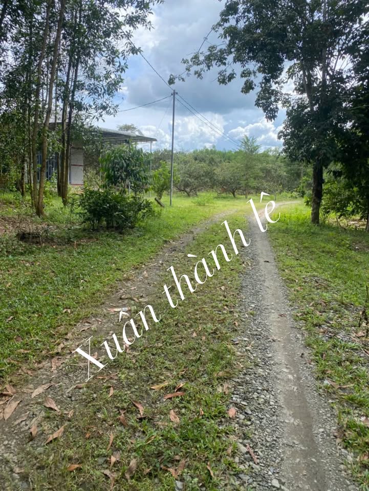 Đất nền 5.189m² xã Xuân Thành, giá chỉ 1.297 tỷ - Cơ hội đầu tư tuyệt vời!