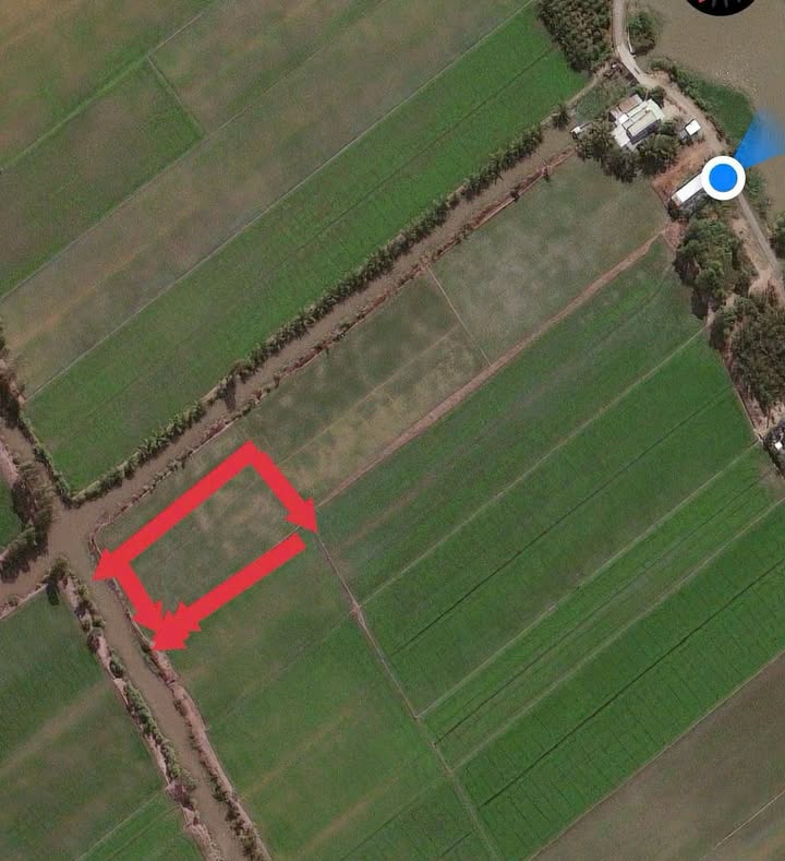 Đất nông nghiệp Óc Eo, Thoại Sơn 43.000m² giá 430 triệu - Sổ hồng sang tên nhanh!