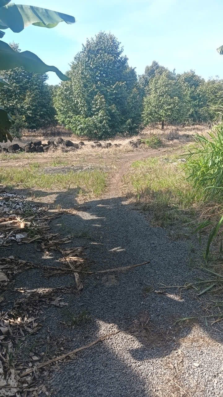 Đất nền 1000m² xã Phú Hòa, Định Quán - Giá chỉ 330 triệu, cơ hội đầu tư tuyệt vời!