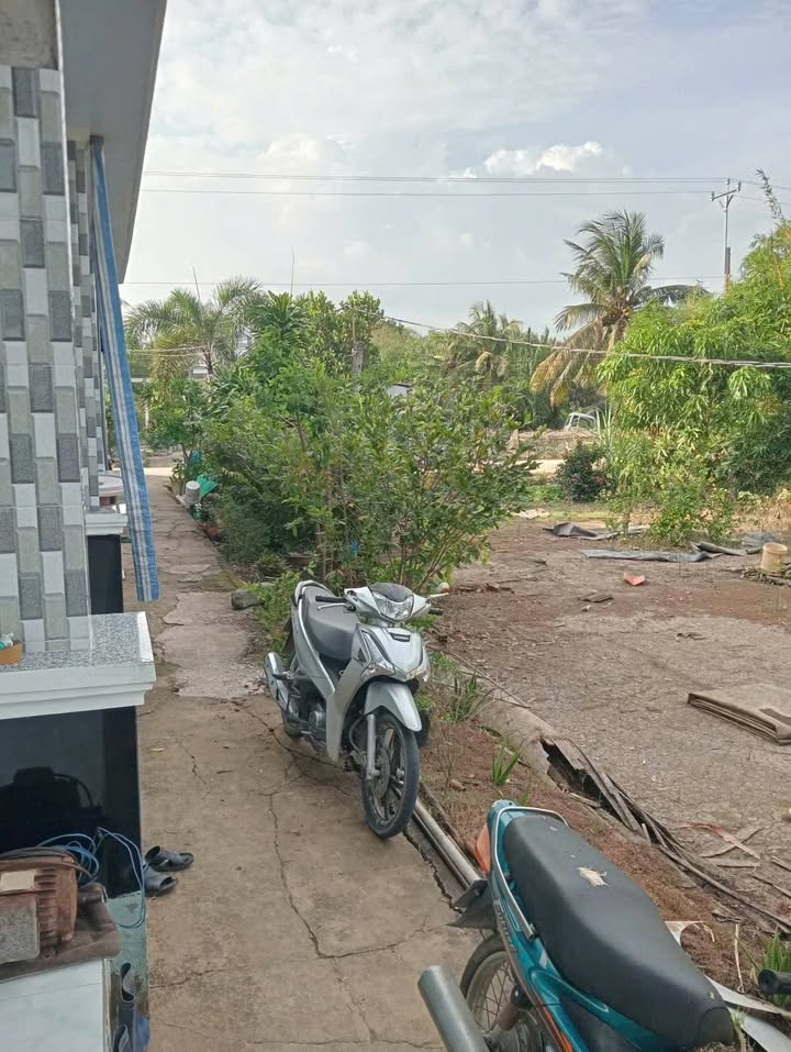 Đất Farm 15.000m² tại Hòa Tú 1, Mỹ Xuyên - Giá chỉ 2 tỷ, sẵn sàng vào ở!