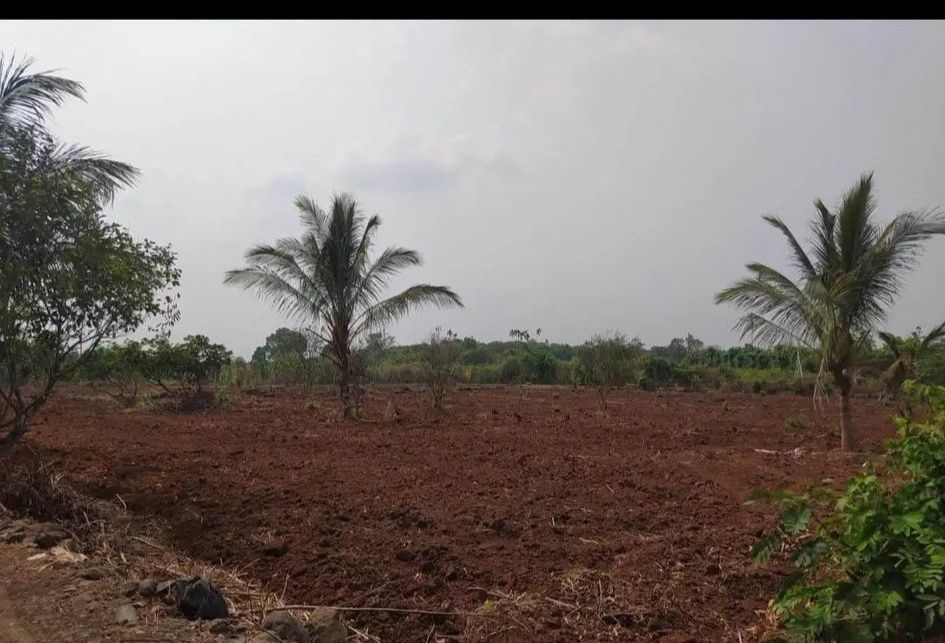 Đất 2 mặt tiền Hòa Xuân 5000m² giá 2.35 tỷ - Đầu tư sinh lời tuyệt vời!