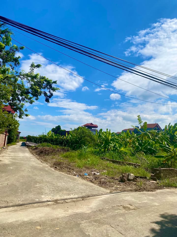 Đất nền góc tại Ngọc Nội, Trạm Lộ 88.1m² giá 2.5 tỷ - Cơ hội đầu tư hấp dẫn!