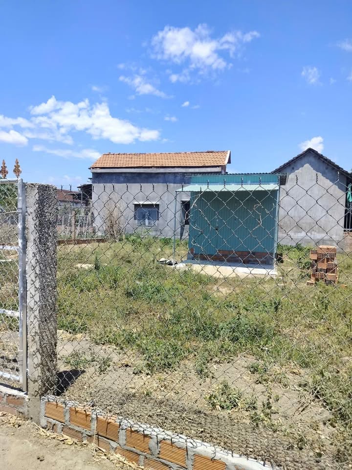 Đất thổ cư 100m² tại thôn Hòa Phong, Nhơn Mỹ, An Nhơn - Giá chỉ 500 triệu!