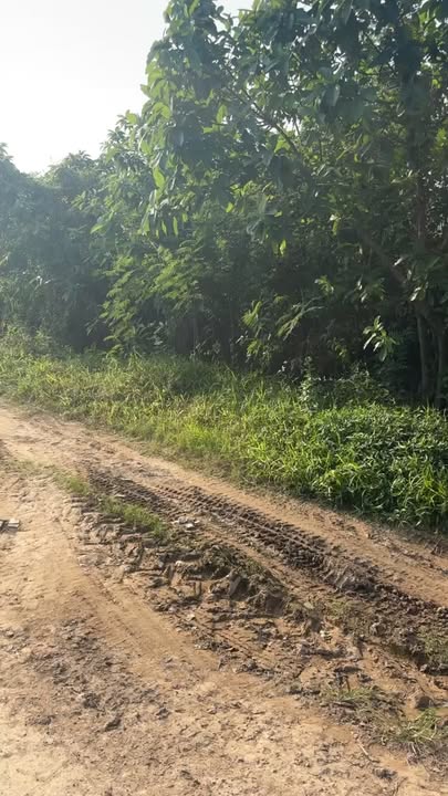 Đất đấu giá 339m² khu phố Thiên Tân - Nam Đàn, Nghệ An - Giá thỏa thuận hấp dẫn!