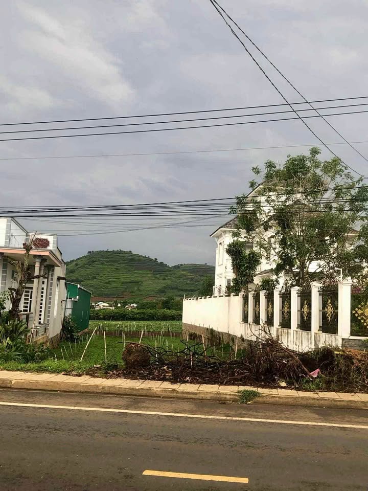 Đất Mặt Tiền Kinh Doanh DT724, Đức Trọng, 663m² - Cơ Hội Đầu Tư Sinh Lời!