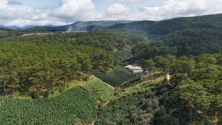 Đất thổ cư 1480m² giá 1.65 tỷ tại xã Xuân Thọ, Đà Lạt - Cơ hội đầu tư vàng!