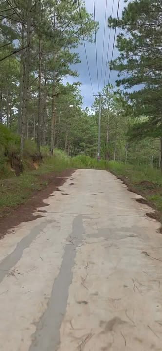 Đất nền 1000m² tại Phường Xuân Trường, Đà Lạt giá chỉ 800 triệu - Cơ hội đầu tư tuyệt vời!