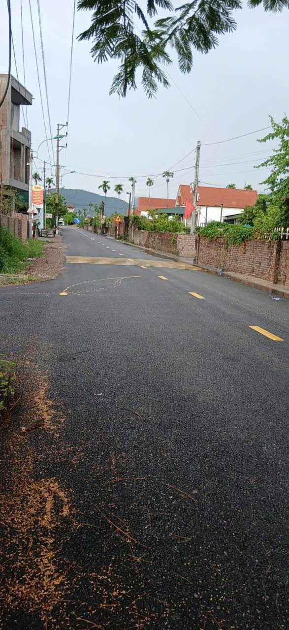 Đất nền Hồng Thái Đông, Đông Triều 102m² giá 1.1 tỷ - Nở hậu đẹp, gần QL18A!