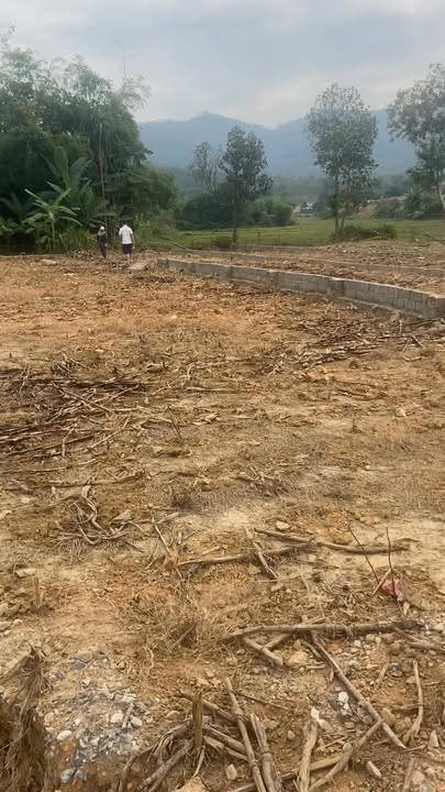 Đất nền khu phố 8, xã Thanh Sơn, Phú Thọ - Diện tích 208m² giá chỉ 10 triệu/m² - Cơ hội đầu tư hấp dẫn!