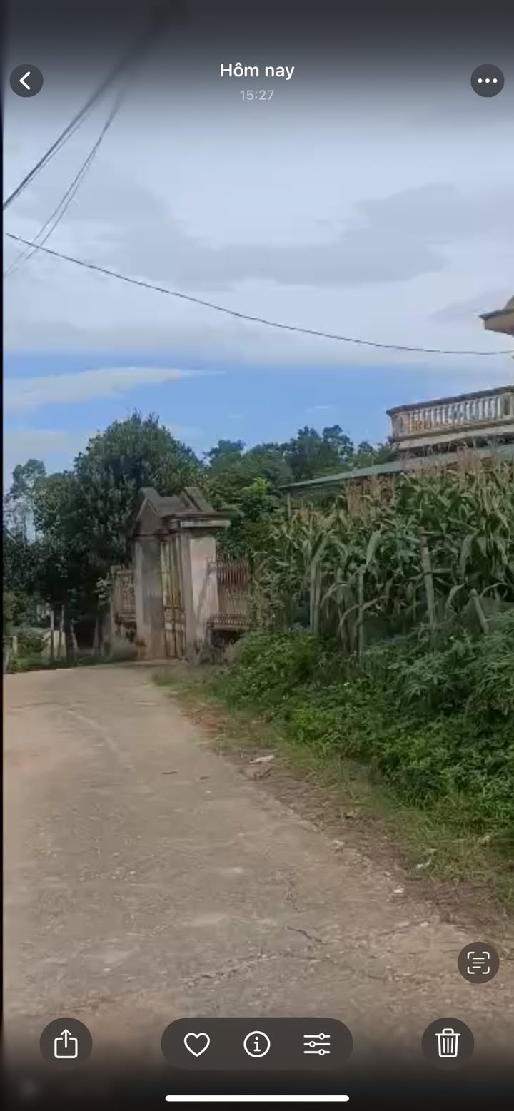 Đất nền 101m² khu phố 8, Hy Cương, Việt Trì - Giá đầu tư chỉ 1.35 tỷ!