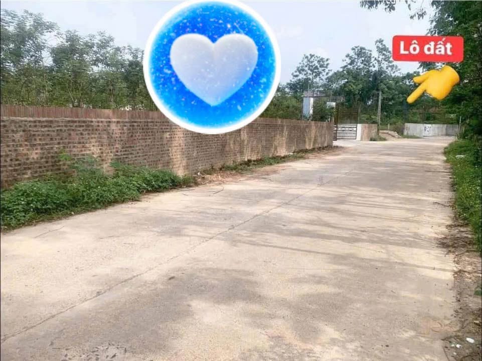 Lô đất RSX tiềm năng tại Tam Quan, Tam Đảo, Vĩnh Phúc 850m² - Giá chỉ vài trăm triệu!