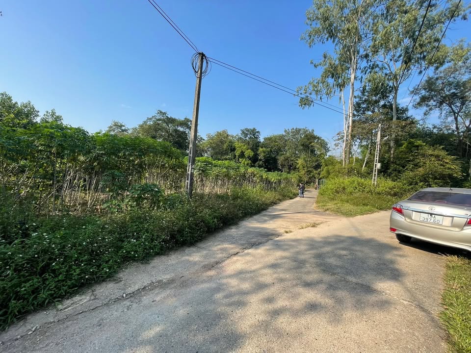 Đất nền Thanh Vinh, Phú Thọ 142m² chỉ 500 triệu - Cơ hội đầu tư tuyệt vời!