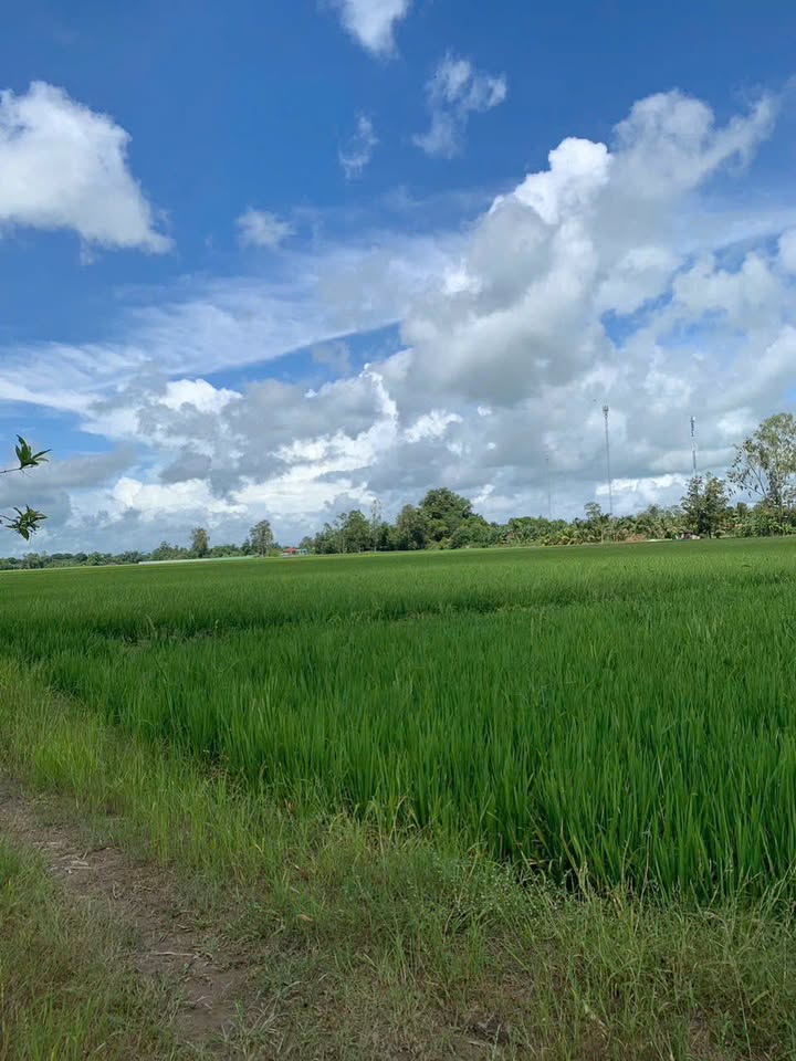 Đất nền xã Định Mỹ, An Giang 14,400m² giá chỉ 4xx triệu - Thích hợp đầu tư!